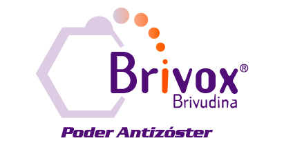 Brivox logo